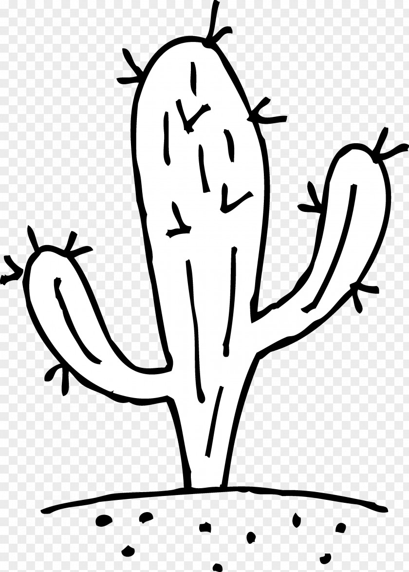 Cactus Pictures For Kids Cactaceae Black And White Saguaro Clip Art PNG