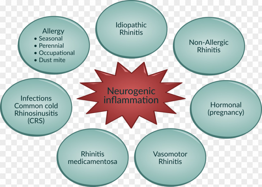 Nasal Congestion Student Price PNG