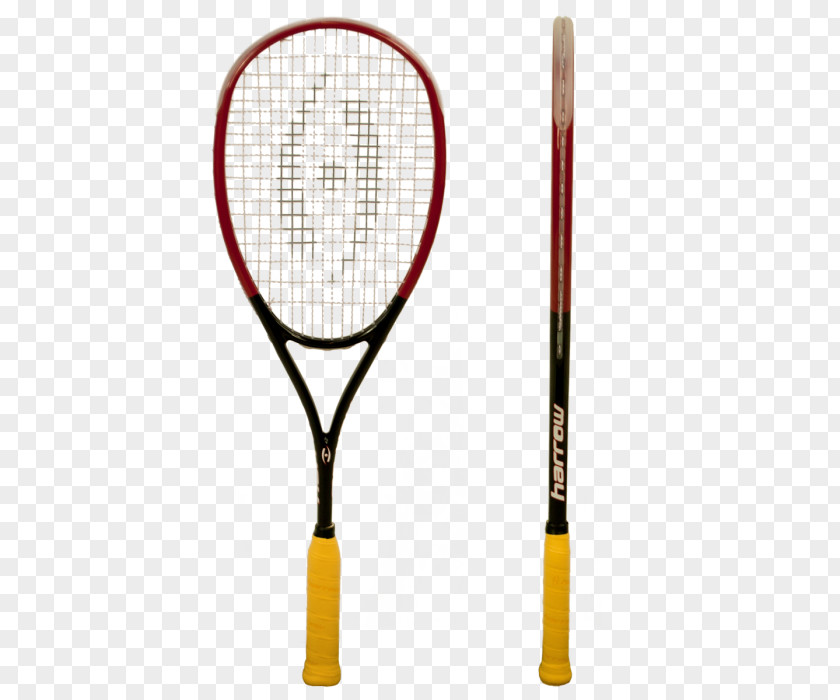 Squash Sport Racket Sporting Goods Tecnifibre PNG