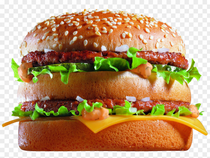 Burger And Sandwich McDonald's Big Mac Hamburger Veggie French Fries PNG