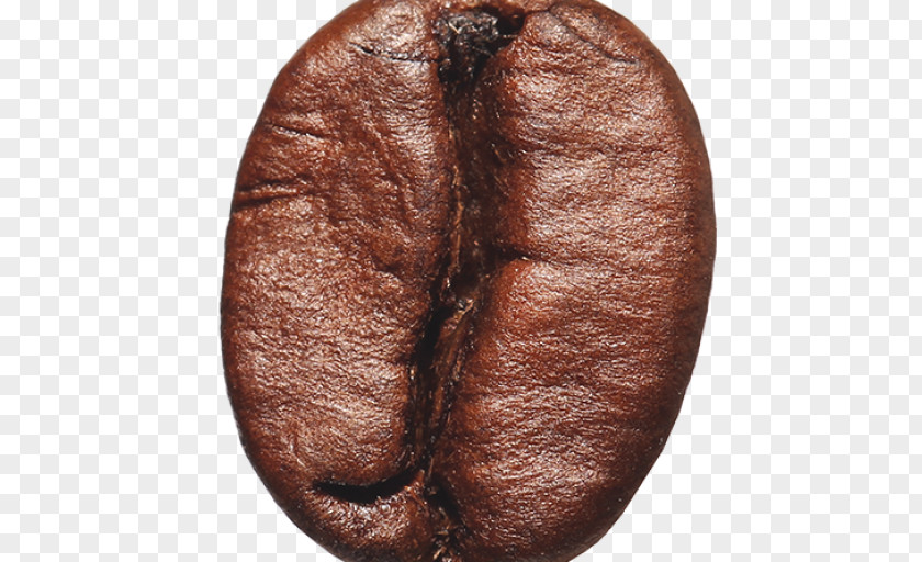 Coffee Bean Caffè Mocha Cafe PNG
