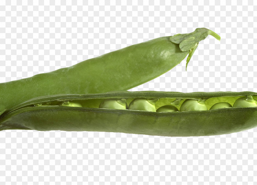 Free Pattern Pea Pull Stock Photography Food Ingredient PNG