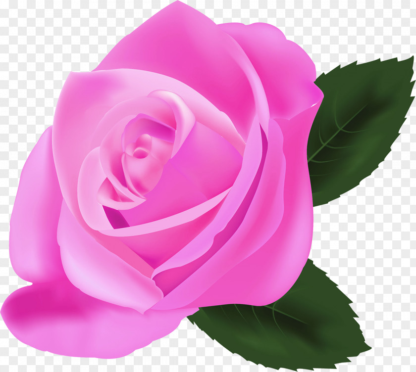 Lilac Rose Pink Flowers Photorealism PNG