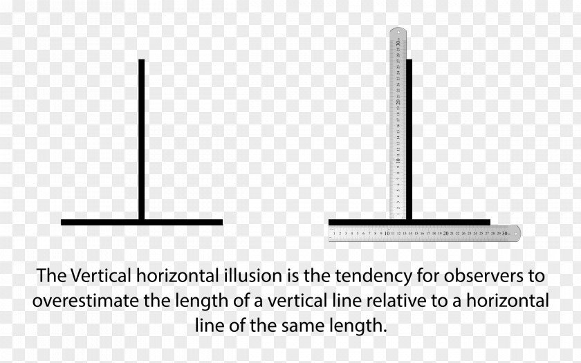 Line Vertical–horizontal Illusion Horizontal And Vertical Ruler Plane PNG