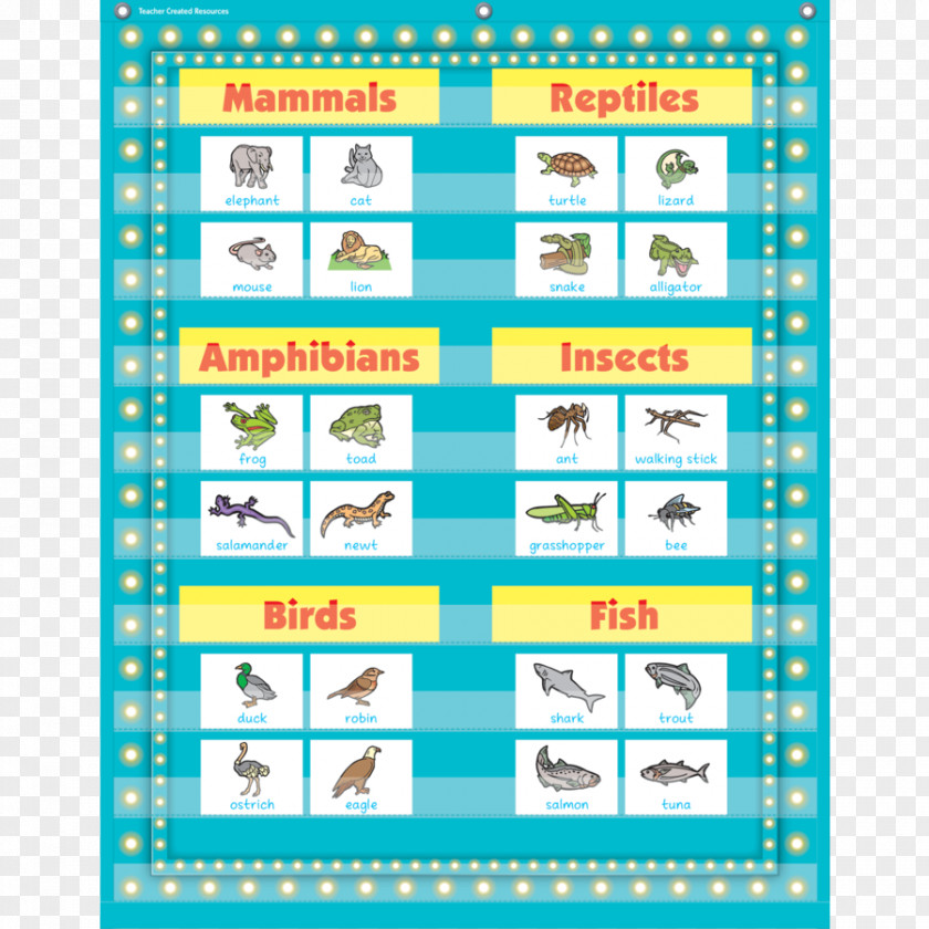 Marquee Light Teacher Classroom Blue School Chart PNG