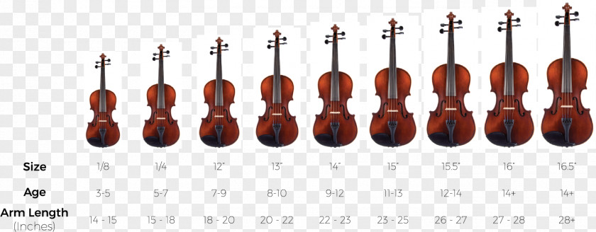 Sizes Ukulele Violin Cello Bow Viola PNG