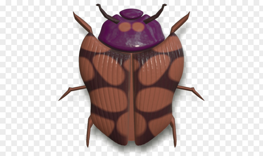 Beetle Insect Wing Arthropod Hornet Clip Art PNG