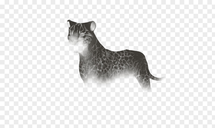 Cat Whiskers Felidae Lion Hyena PNG