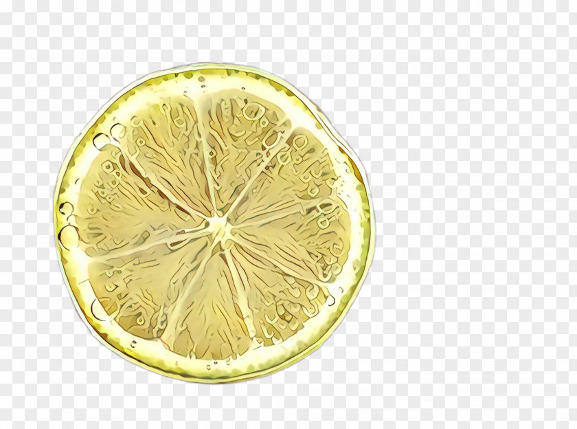 Citric Acid Plant Citrus Lemon Yellow Lime Citron PNG