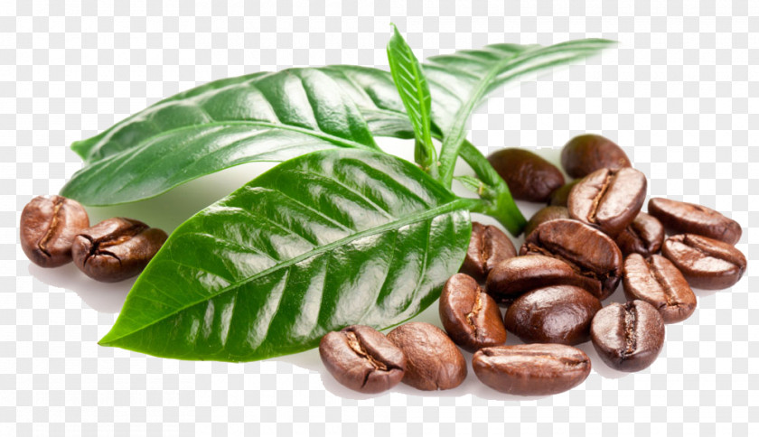 Coffee Beans Bean Tea Espresso Cup PNG