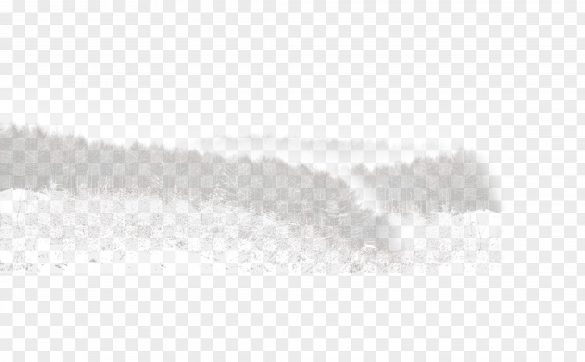 Forest White Black Pattern PNG