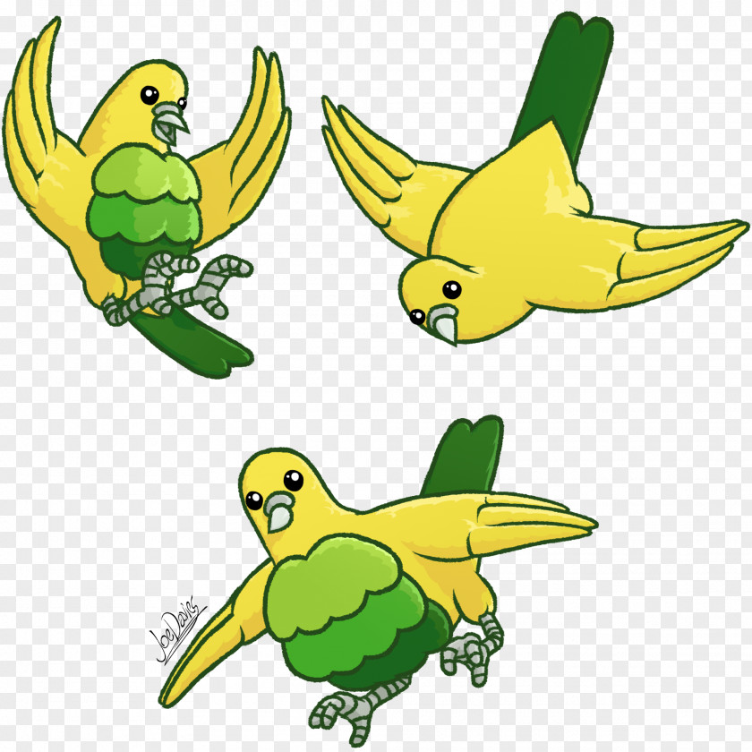 Quill Bird Parrot Parakeet Turtle Pet PNG