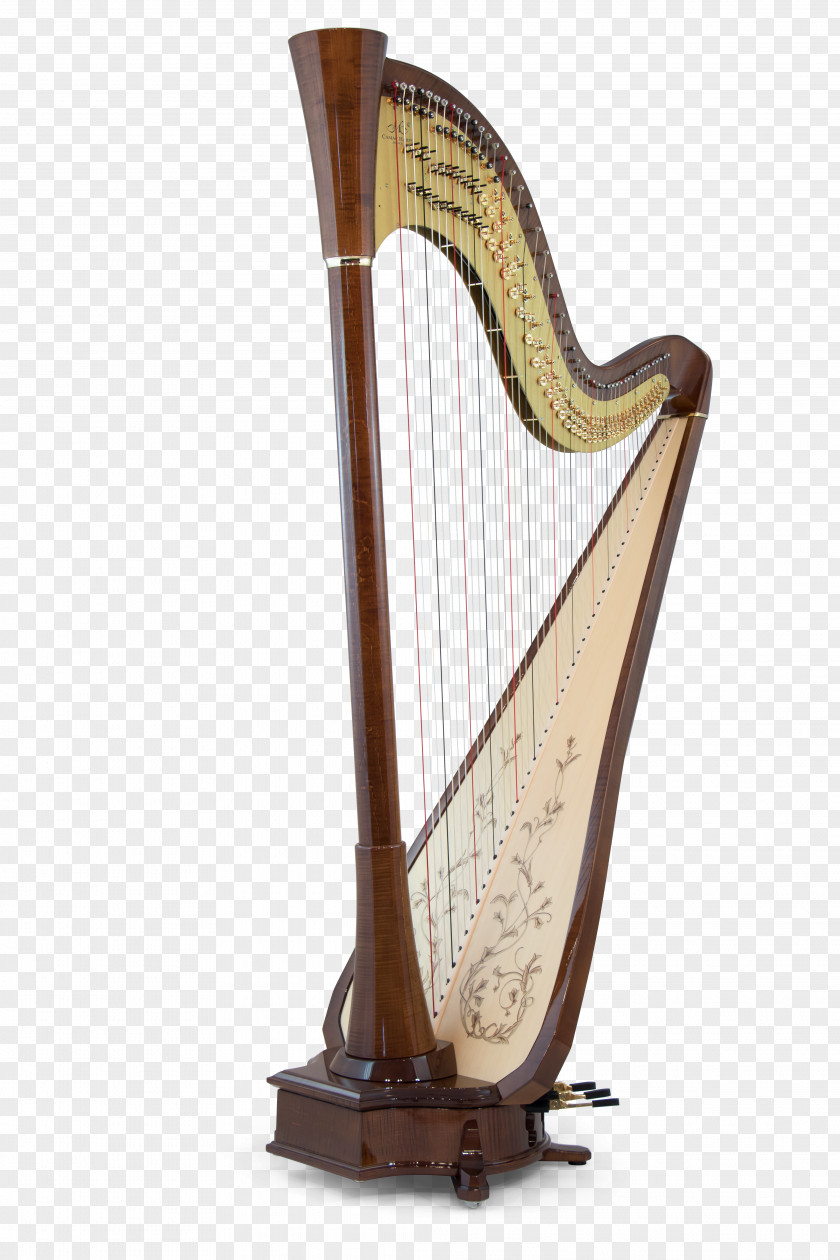 Traditional Chinese Musical Instruments Harpist Congress Background PNG