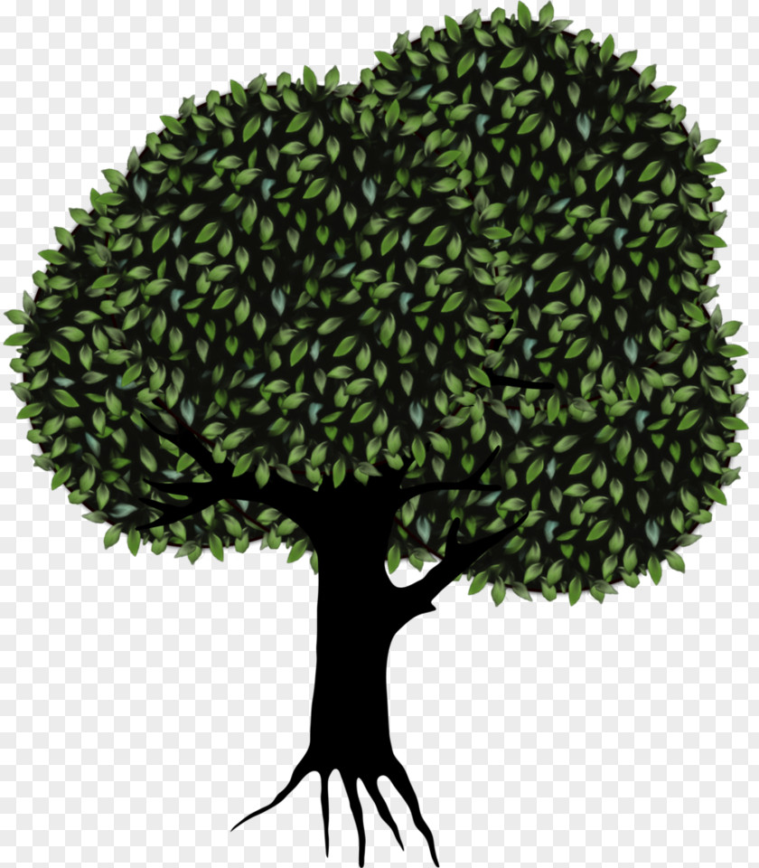 Tree Transparent Background Clip Art PNG