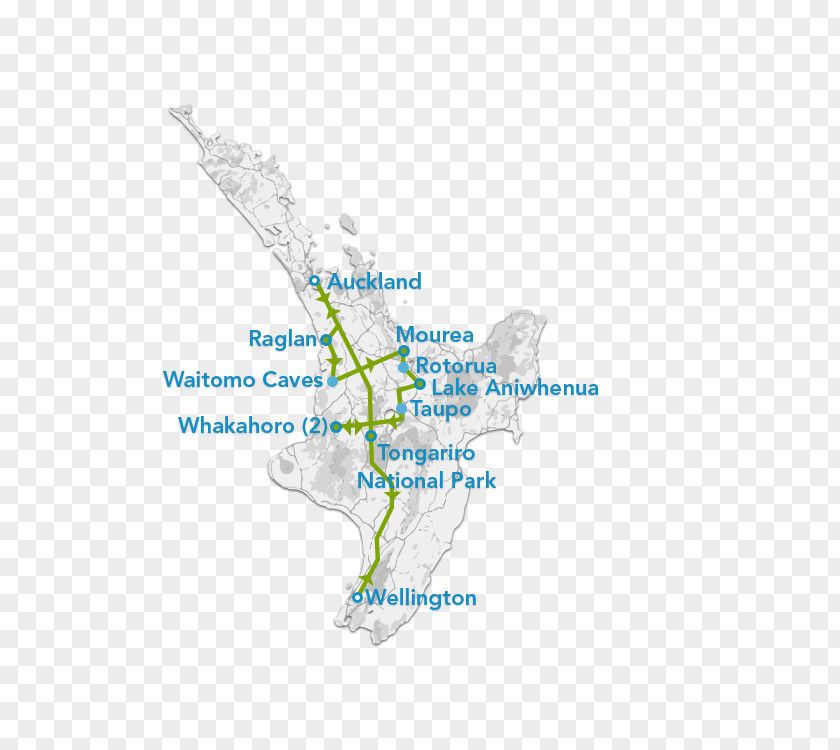 Museum Of New Zealand Te Papa Tongarewa South Island Bus Travel Literature Map HTML PNG