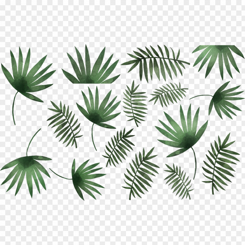 Palm Tree PNG