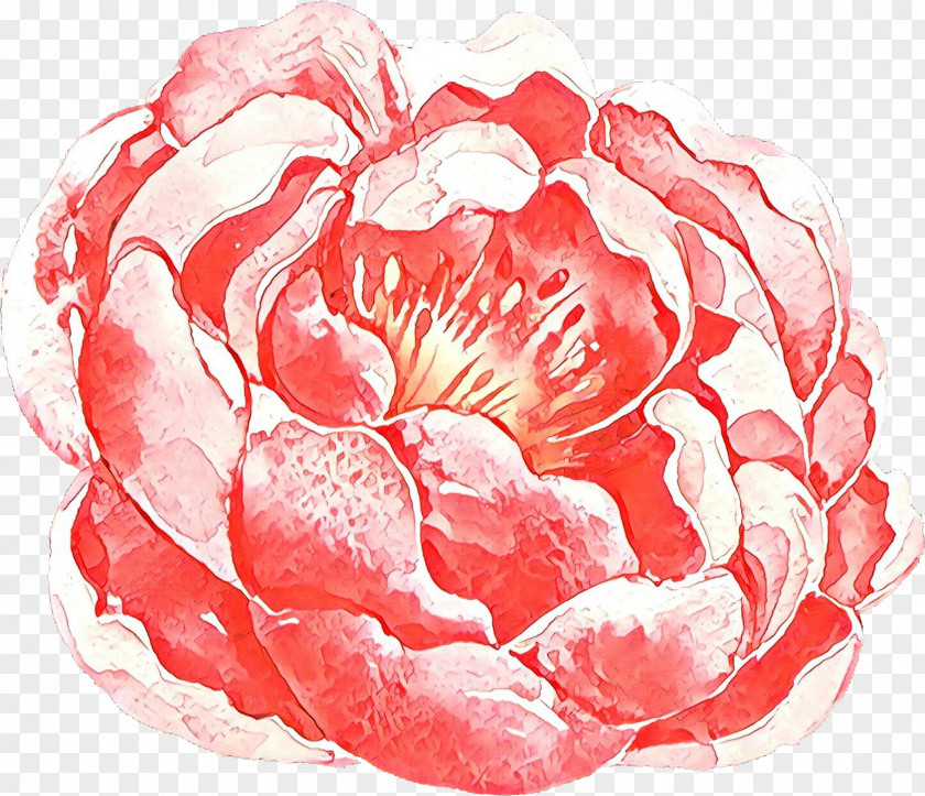 Plant Flower Pink Red Petal PNG