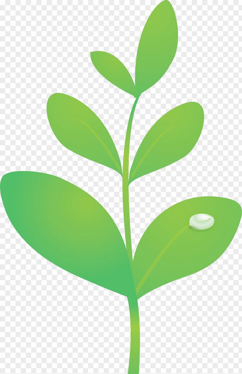 Sprout Bud Seed PNG