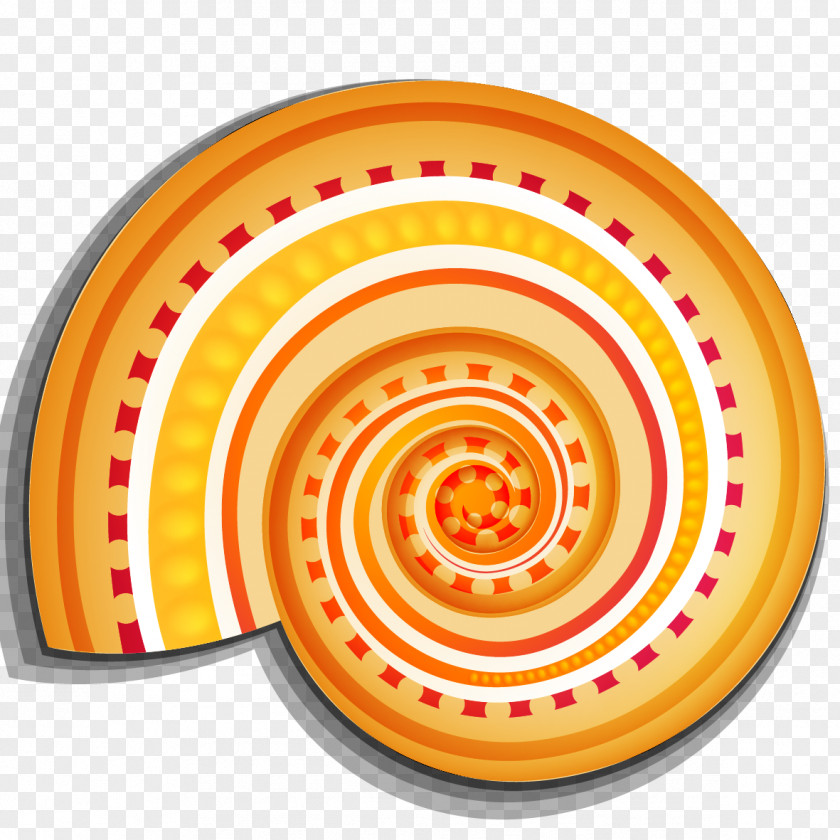 Beautiful Pattern Vector Conch Logo Shutterstock Drawing PNG
