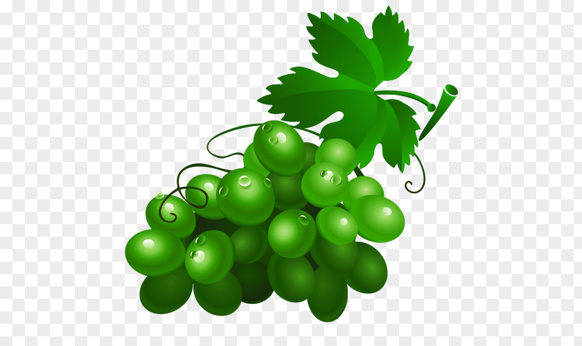Cartoon Grapes Wine Grape Drawing Fruit Clip Art PNG