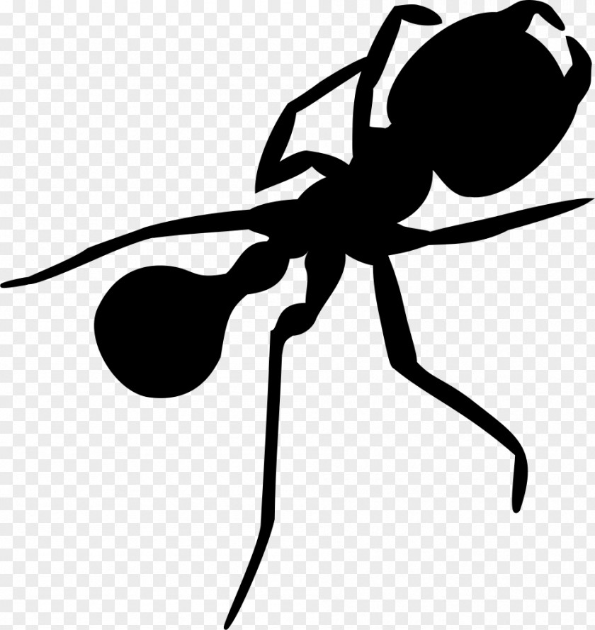 Insect Ant Silhouette Clip Art PNG