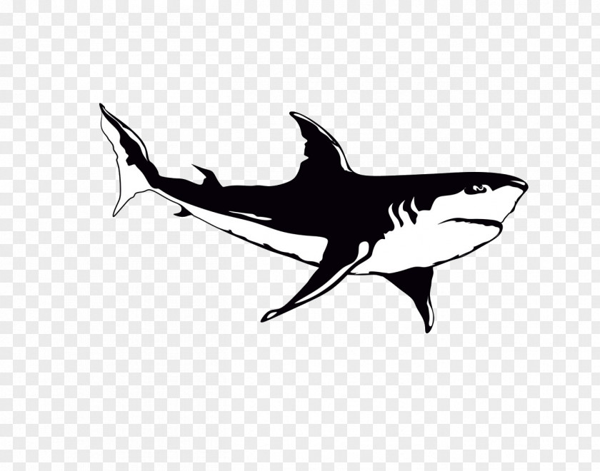 Shark Wall Decal Polyvinyl Chloride Sticker PNG