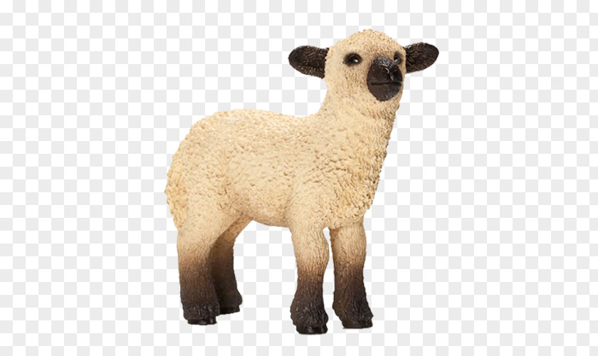 Toy Shropshire Sheep Schleich Goat Lamb And Mutton PNG