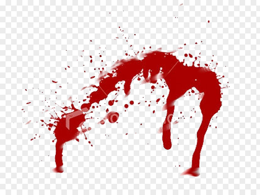 Blood Bloodstain Pattern Analysis Splatter Film Drawing PNG