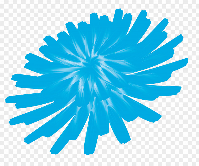 Dandelion Flower PNG