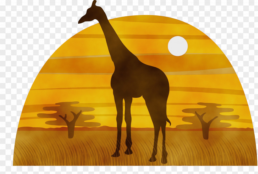 Giraffe Silhouette Drawing Cartoon PNG