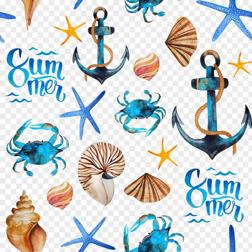 Shading Sea Creatures Paper Beach Gift Textile Seashell PNG