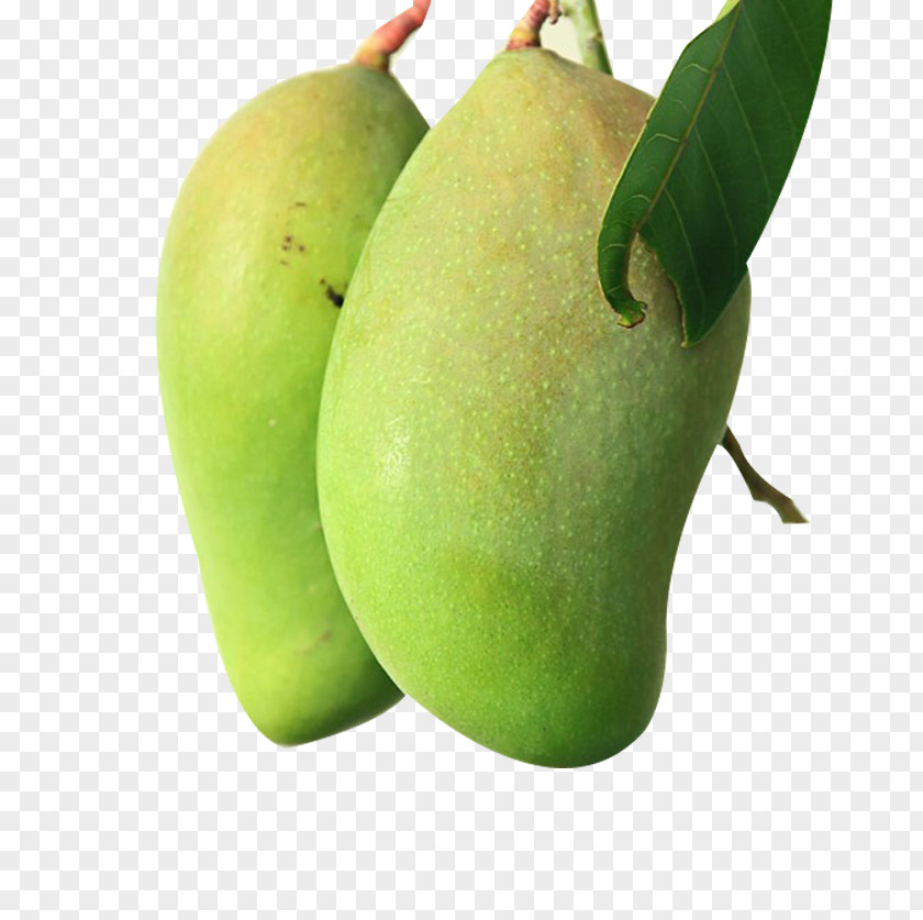 Two Mangoes Smoothie Mango Fruit PNG