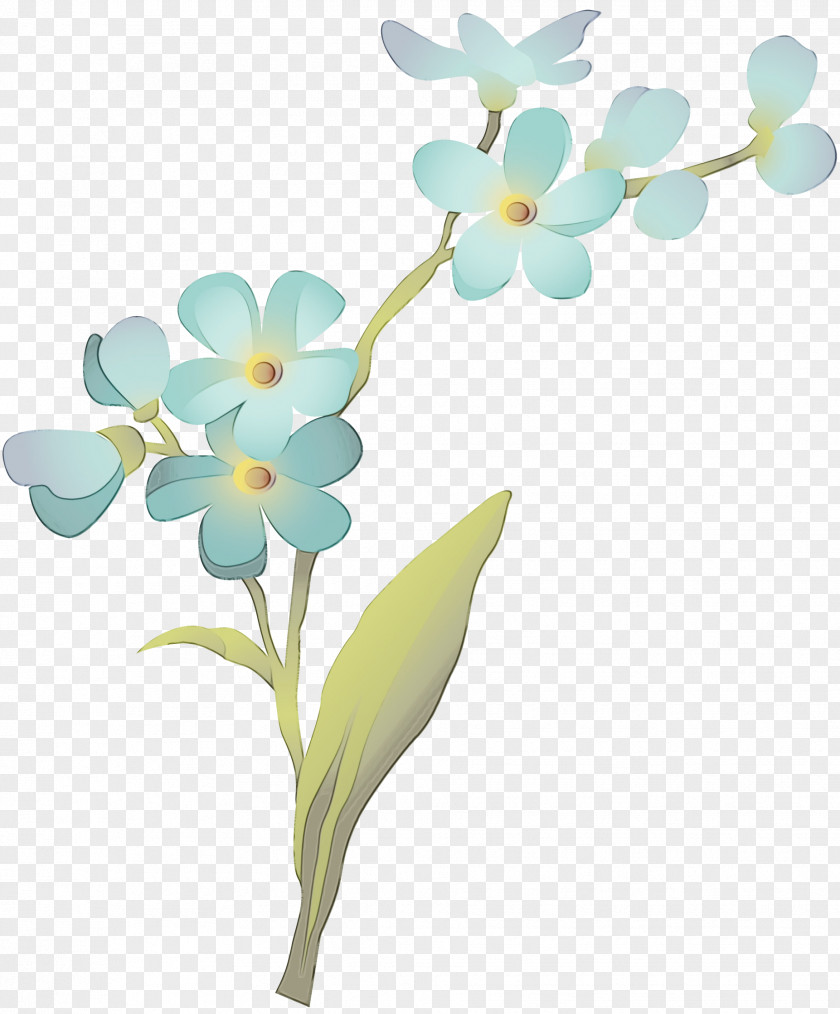 Wildflower Plant Stem Flower Petal Flowering Clip Art PNG