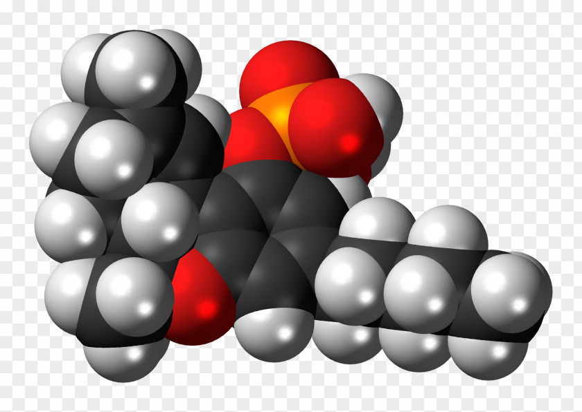 Cannabis Tetrahydrocannabinol Cannabinoid Cannabidiol Space-filling Model PNG