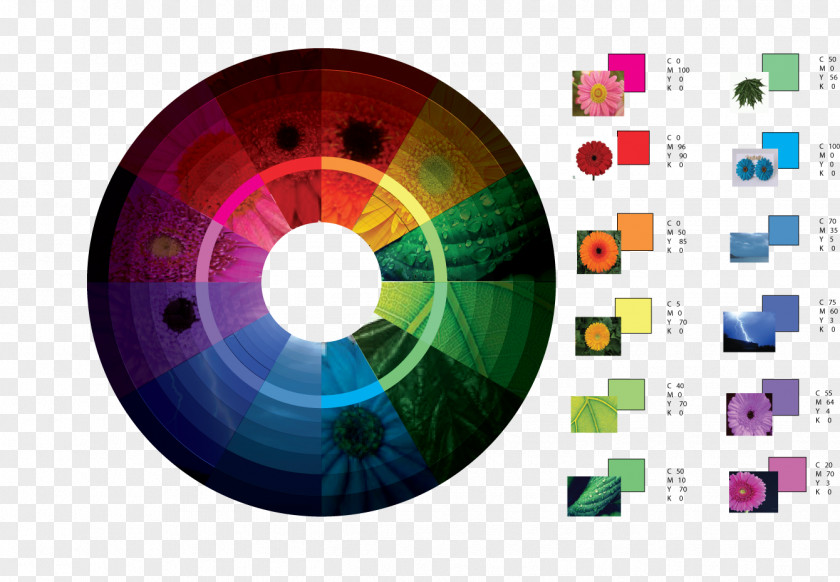 Design Graphic Color Wheel Template PNG