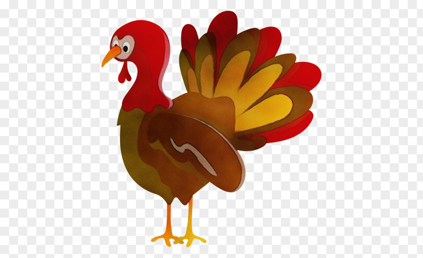 Fowl Chicken Poultry Livestock Beak PNG
