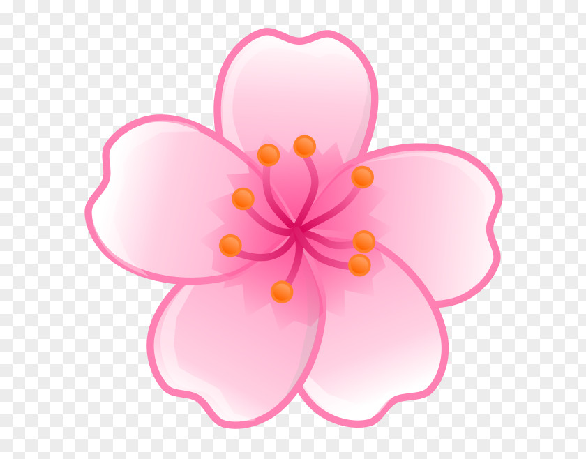 Sakura Flower Cherry Blossom Clip Art PNG