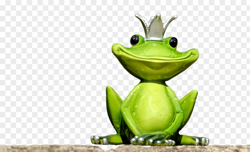 Toad Shrub Frog Green Tree True PNG