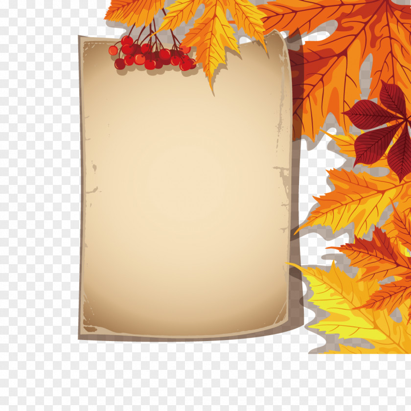 Vector Autumn Leaves And Paper Maple Leaf Euclidean PNG
