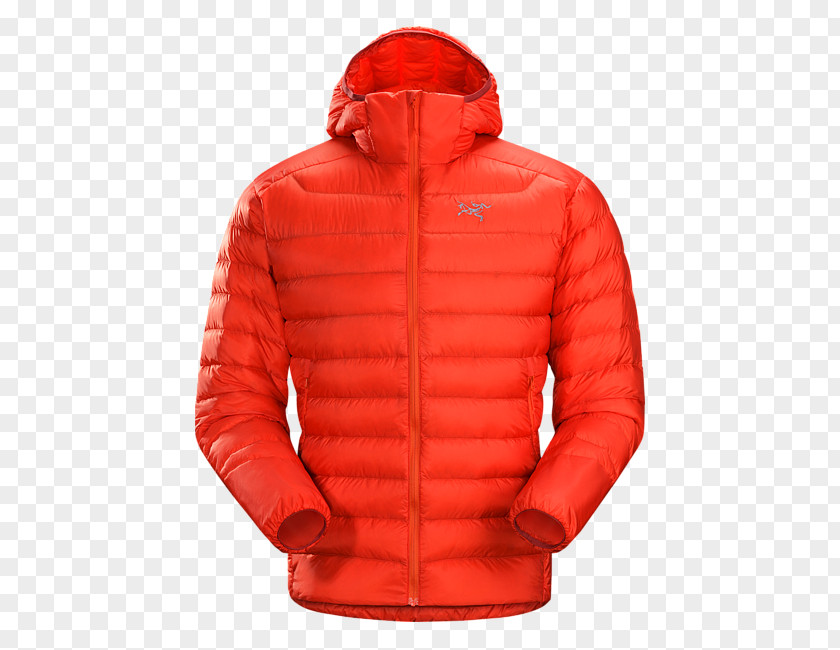 Arc'teryx Hoodie Jacket Down Feather Clothing PNG