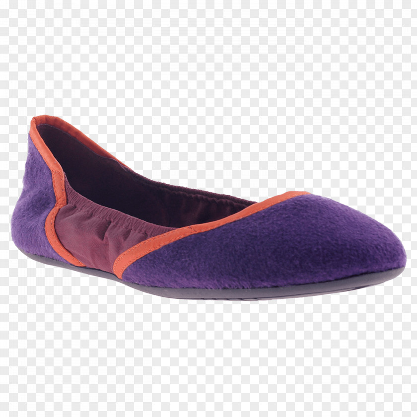 Ballet Flat Shoe Suede Cross-training PNG