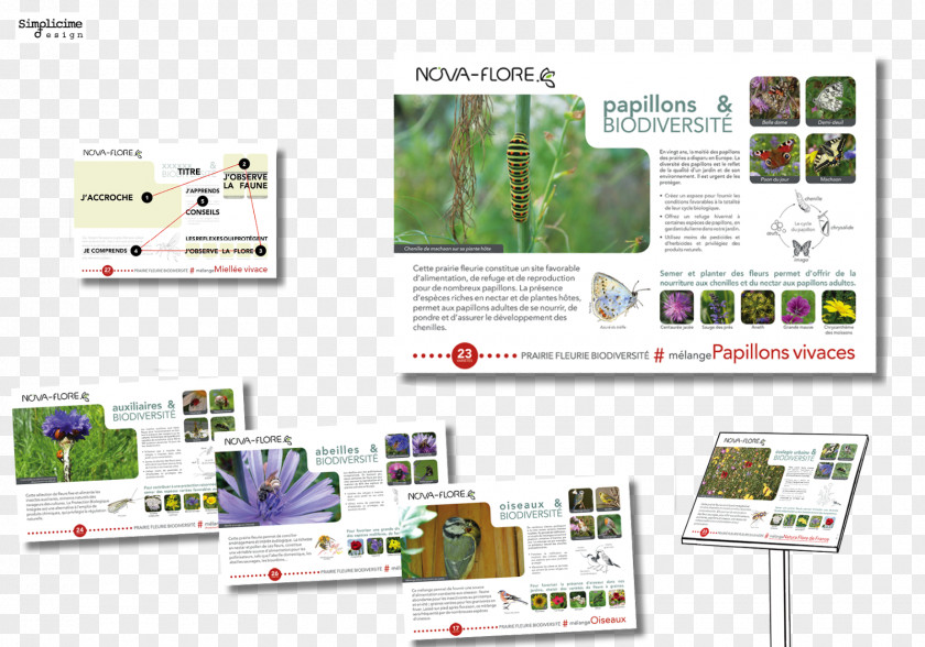 Book Design With A K Communication Biodiversity Handicraft PNG