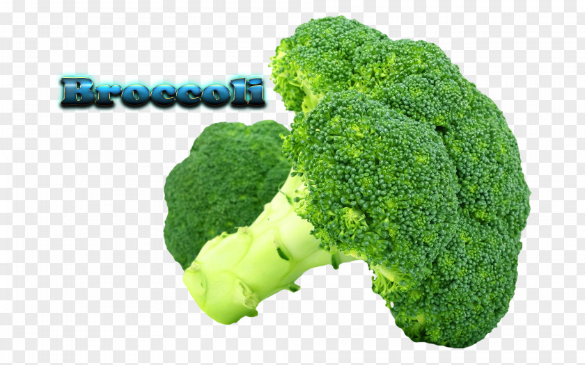 Broccoli Organic Food Vegetable Cauliflower Cabbage PNG