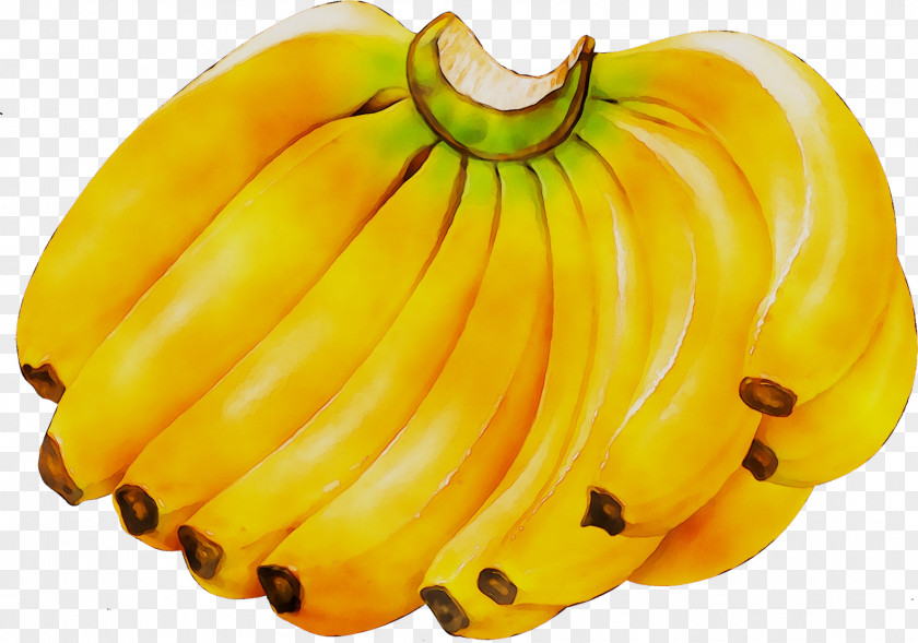 Cavendish Banana Image Clip Art PNG