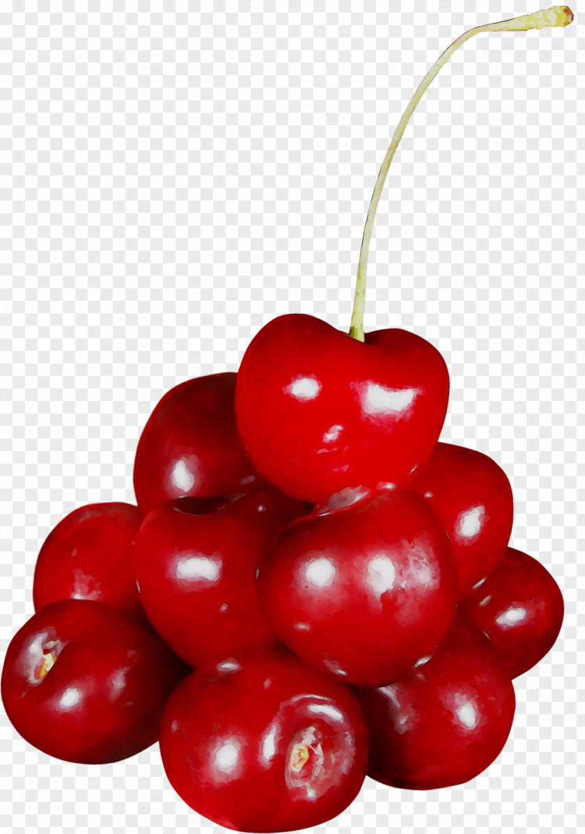 Cherries Clip Art Image Transparency PNG