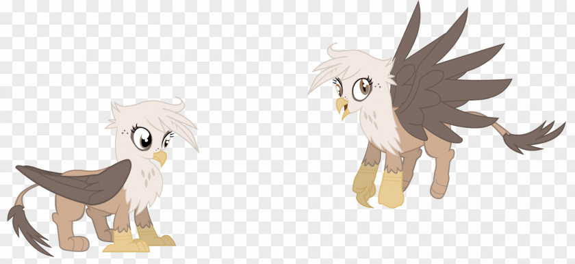 Horse Pony Griffin Equestria Daily PNG