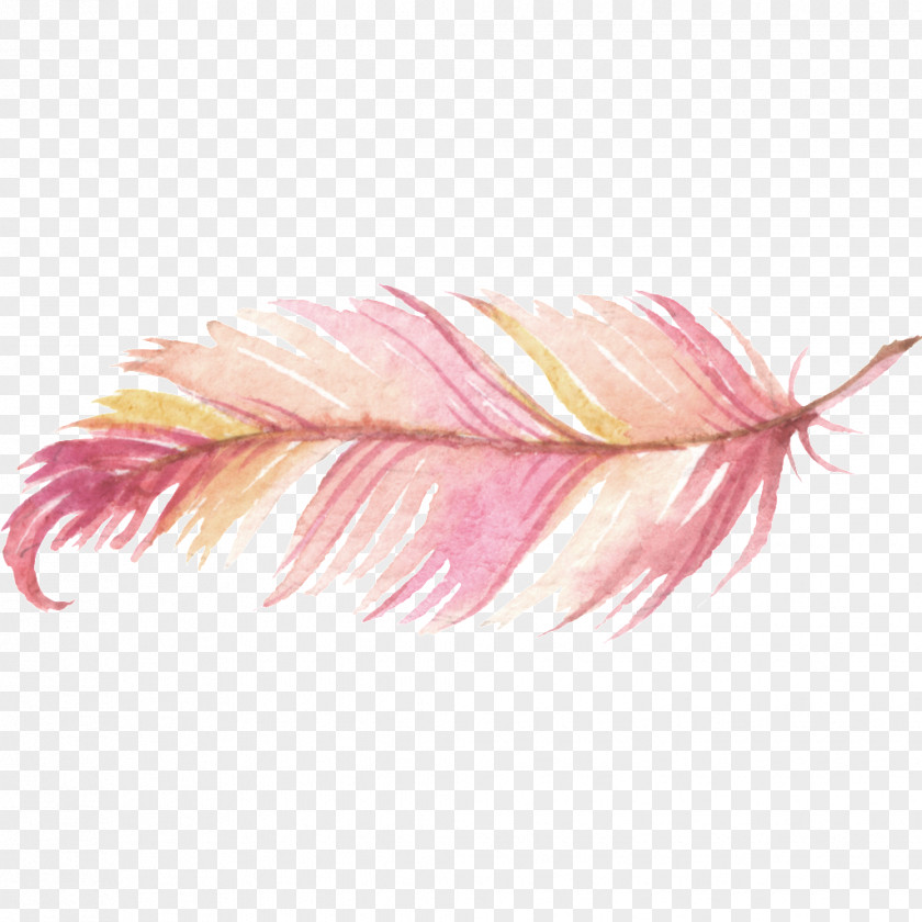 Watercolor Painting Feather Logo PNG painting Logo, pink feathers, feather illustration clipart PNG