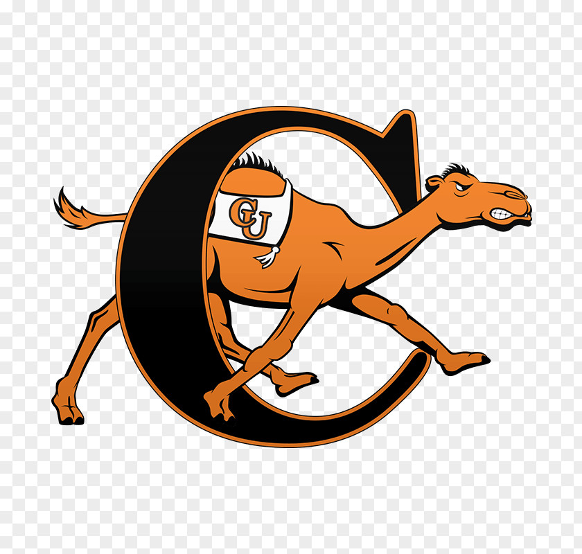 Basketball Campbell University Fighting Camels Men's Women's Football Longwood PNG