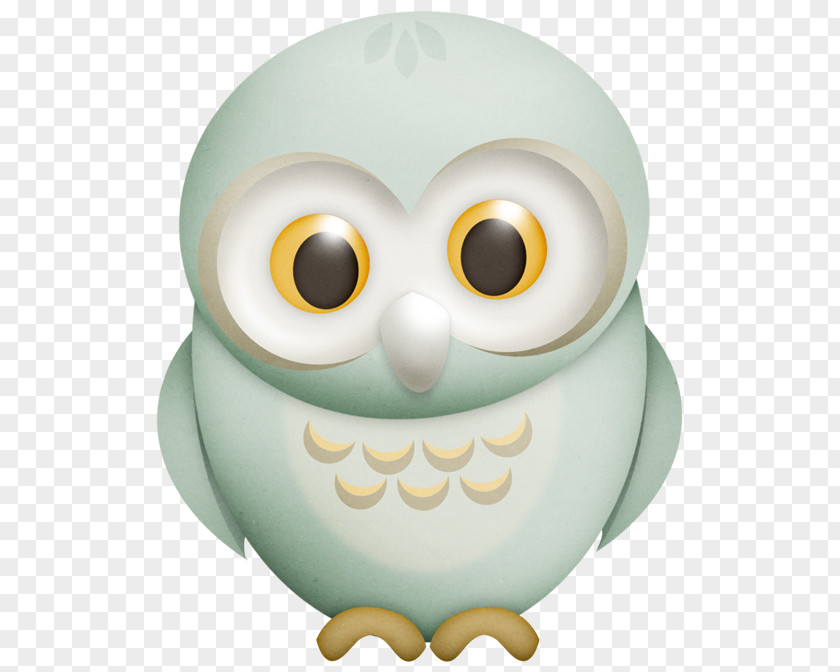 Bird Snowy Owl Drawing Image Clip Art PNG