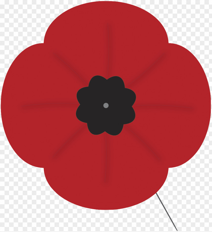 California Poppy Westside Kickboxing Gym Remembrance Armistice Day PNG
